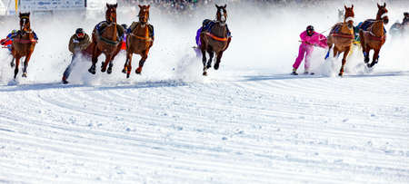 famous Horse show - Engadine - Switzerlandの写真素材