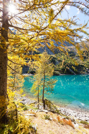 Valmalenco (IT) - Lagazzuolo Lake in autumn landscapeの写真素材