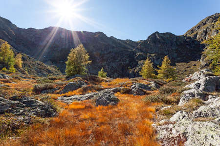 autumn landscape in the high mountainsの写真素材