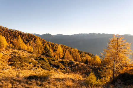 alpine autumn landscape - Valtellina (IT)の写真素材