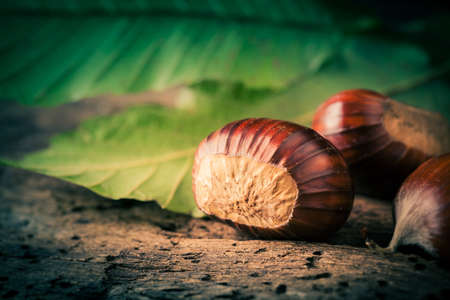 detail of chestnuts with leafの写真素材