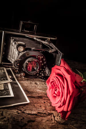 old bellows camera with red roseの写真素材