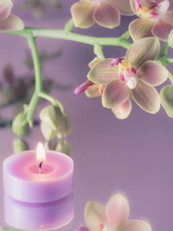 relaxation and wellness - still lifeの写真素材