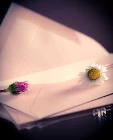 envelope and letter with daisiesの写真素材
