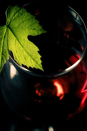 goblet of red wine with vine shootの写真素材