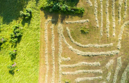 Valtellina (IT) - Traditional hay processing in the mountainsの写真素材