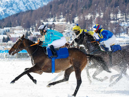 White Turf race - Engadine - Switzerlandの写真素材