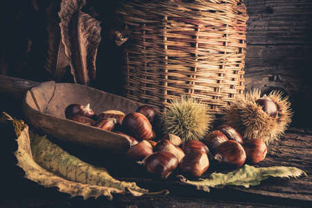 freshly harvested chestnuts - close upの写真素材