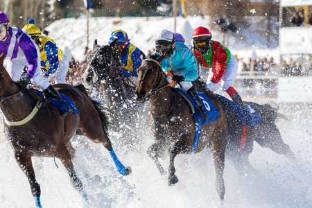 White Turf race - Engadine - Switzerlandのeditorial素材