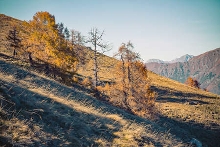 autumn sunset in the mountainsの写真素材