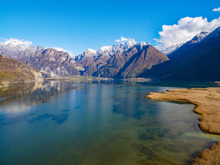 Pian di Spagna Nature Reserve - Lake of Novate Mezzola - Valchiavenna (IT) - Swansの写真素材