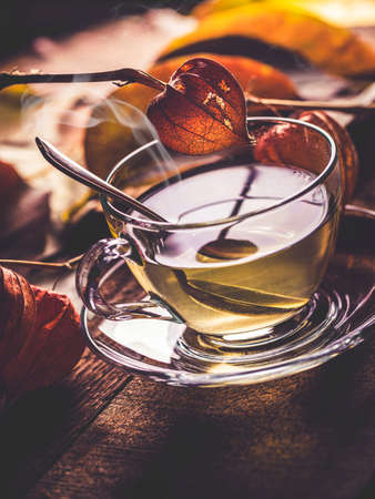 composition with cup of chamomile and dried flowersの写真素材