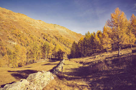Alpine landscape in autumnal dressの写真素材