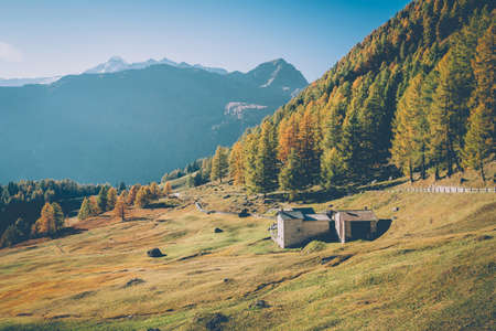 Val di Campo (CH) - Autumn overview at the beginning of the valleyの写真素材