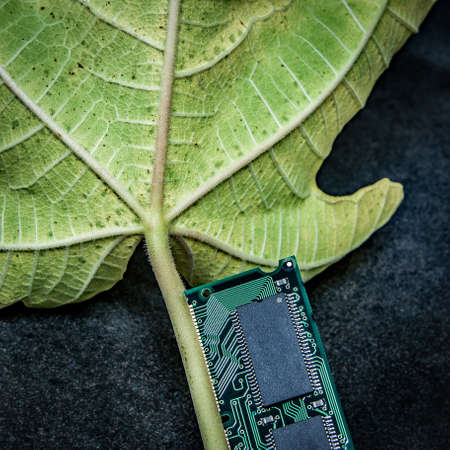 Green Energy - leaf with electronic cardの写真素材