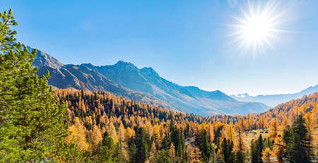 Val di Campo - Poschiavo (CH)の写真素材