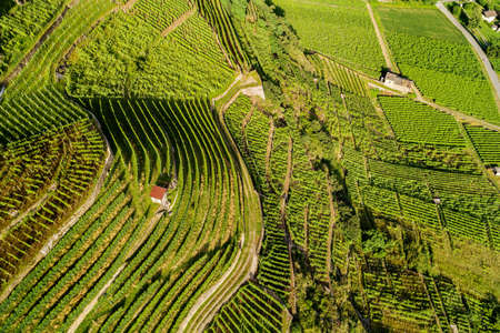 Castionetto di Chiuro, Valtellina (IT), Panoramic aerial view with vineyardsの写真素材