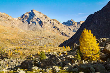 Bormio (IT), Autumnal aerial view of the Val Violaの写真素材