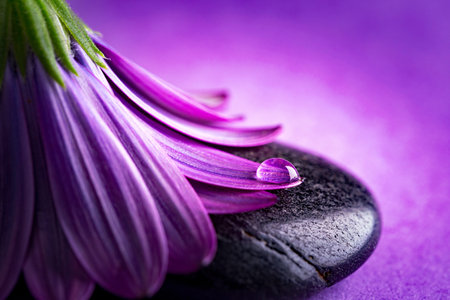 pink flower with dew drop on black stoneの写真素材