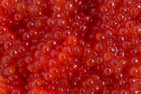 Red caviar close-up background. Background made of red caviarの写真素材