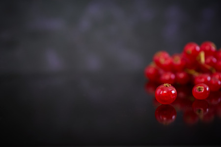 Red currant on dark backgroundの写真素材