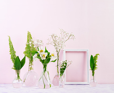 Flowers and plants in flask with frame. Beautiful spring background with flowers in vase.の写真素材