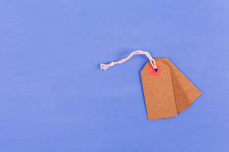 Blank label tag isolated on blue background. Price tag. Sale concept.