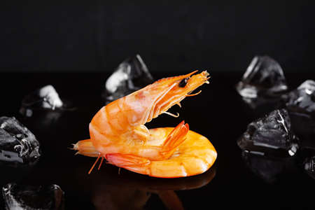 Delicious cooked shrimps isolated on dark background. Boiled prawns