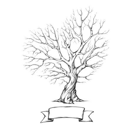 Tree with heart-shaped crownの写真素材