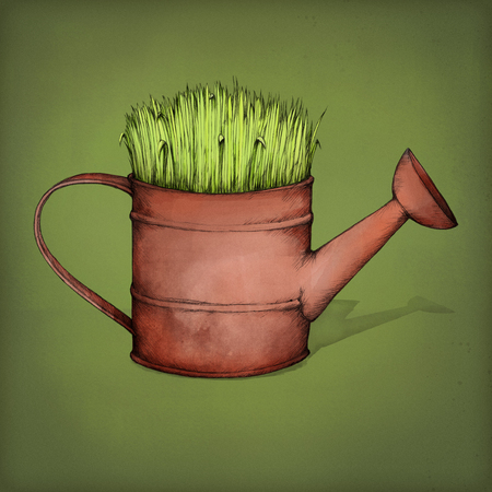 Grassy watering canの写真素材