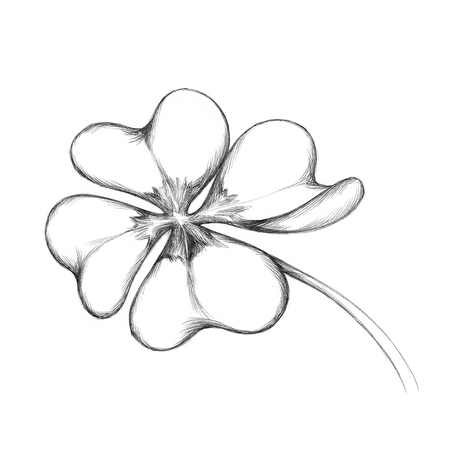 Illustration of a simple cloverleaf with four leavesの写真素材