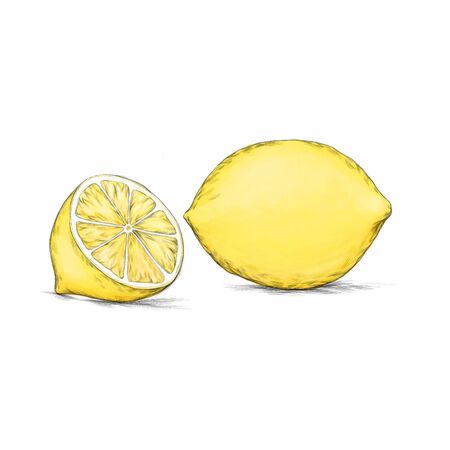 Illustration of a A whole and a cut lemonの写真素材