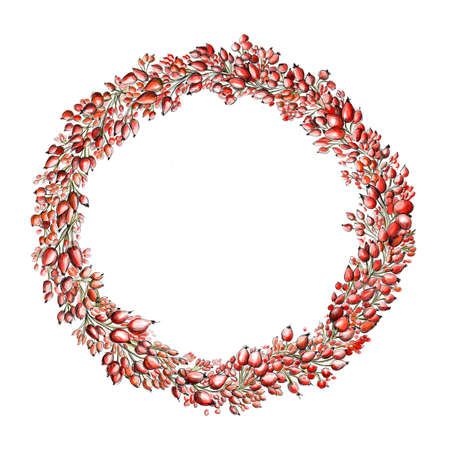 Illustration of a wreath made from many small rose hipsの写真素材