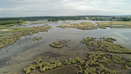 Aerial view of the marshy area of the Baltic Sea.