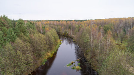 Aerial view of the river in autumn forest. View from above.