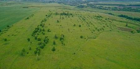 Large field of grass with trees in the background. The grass is green and the trees are brown.