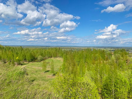 Lush green field with trees and a clear blue sky. The sky is dotted with clouds, giving the scene a peaceful and serene atmosphereの写真素材