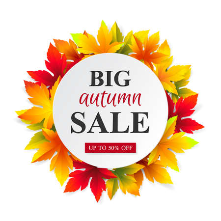Vector template for design banner big seasonal autumn sales and discounts. White label for promotion with colored maple leaves. Isolated from a background.
のイラスト素材