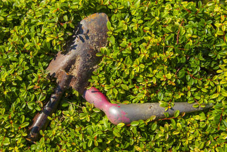 Gardening toolsの写真素材