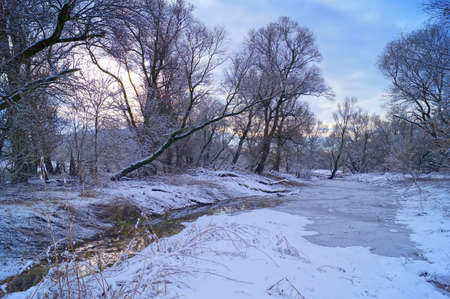 Winter natureの写真素材