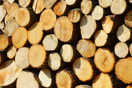 Cut off wood backgroundの写真素材