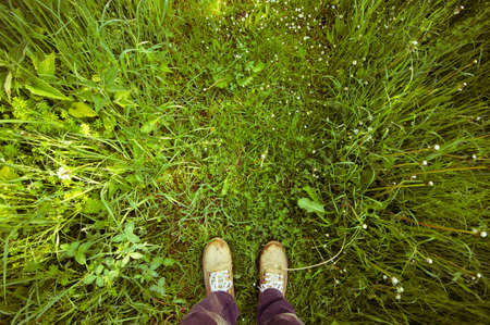 Standing in the grassの写真素材