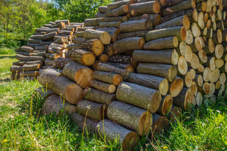 Logs heapの写真素材