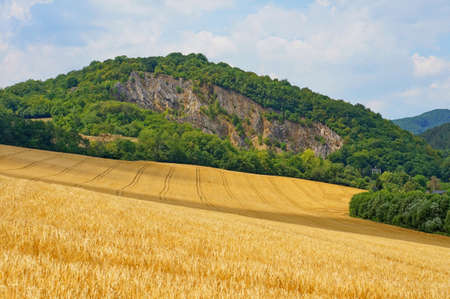 Grain field under the hillの写真素材