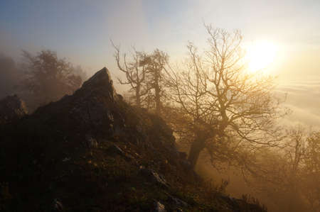 Vysoka hill peak in Slovakiaの写真素材