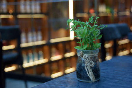Green Plant in Glass Jar on Black Tableの写真素材