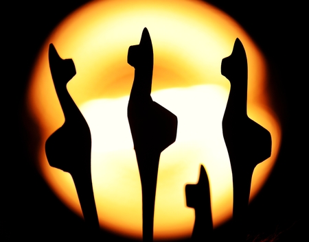 Fake Llamasの写真素材