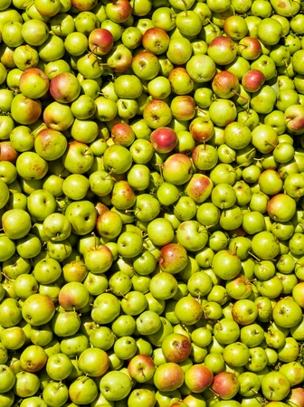 Texture with applesの写真素材