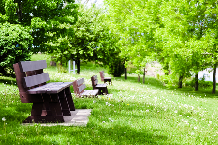 Row of Empty Benches in a Parkの写真素材