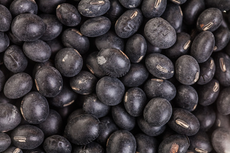 Extreme Closeup Macro Texture of Black Soy Beansの写真素材